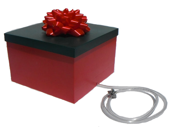 Live Christmas Tree Automatic Watering System Disguised As A Present